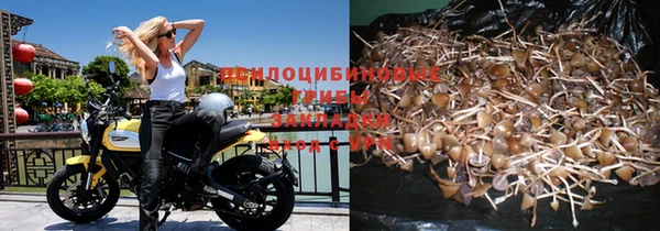 индика Богородицк