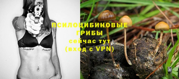 дмт Верхний Тагил