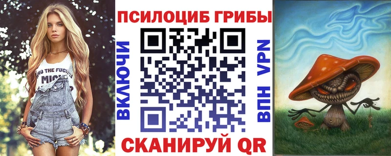 MEGA как зайти  где продают наркотики  Орск  Псилоцибиновые грибы Cubensis 